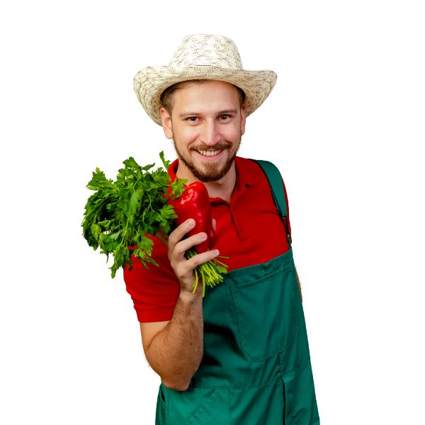 Rachunki dla rolników